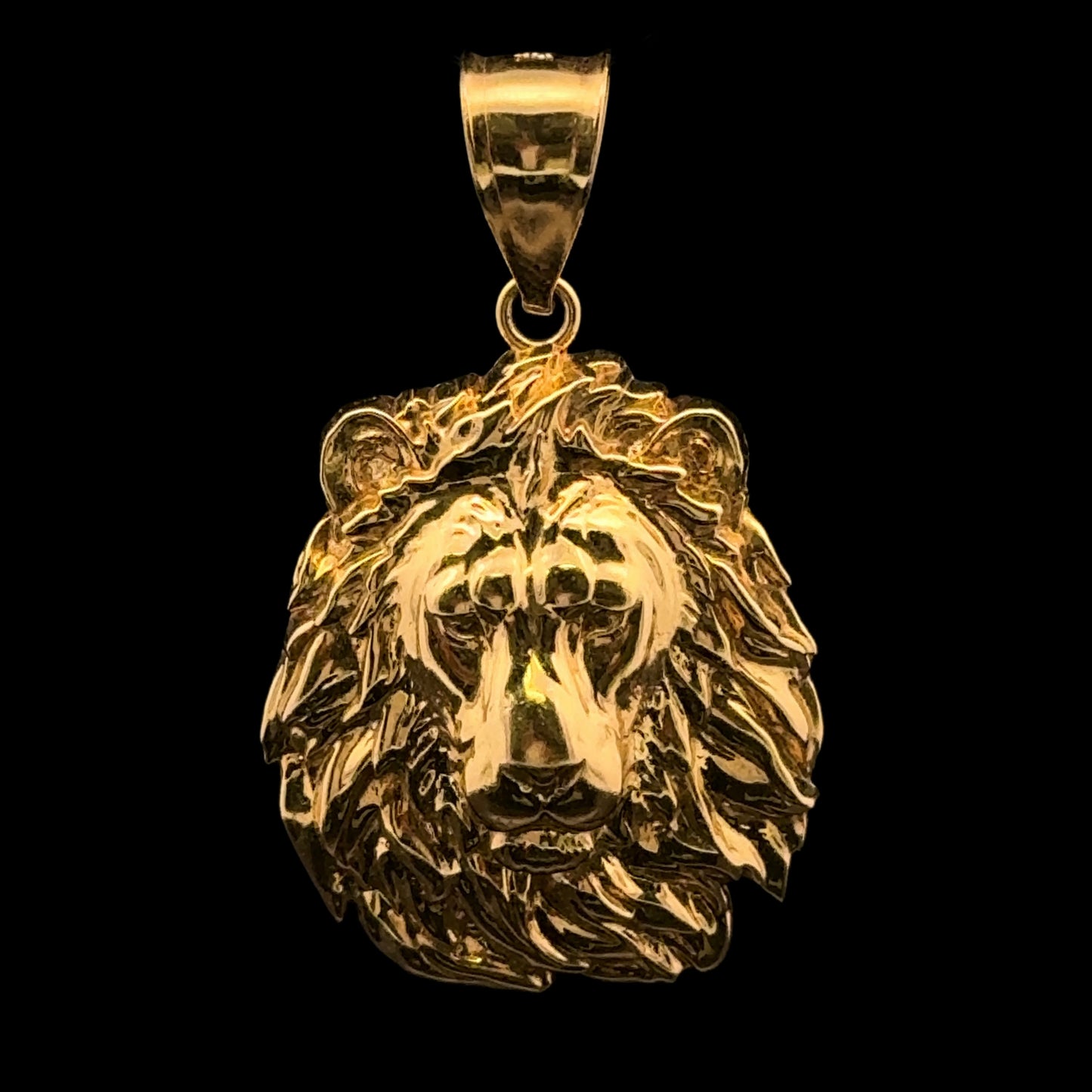 PENDANT LEON RELIEVE SMALL 3.6GR 14K